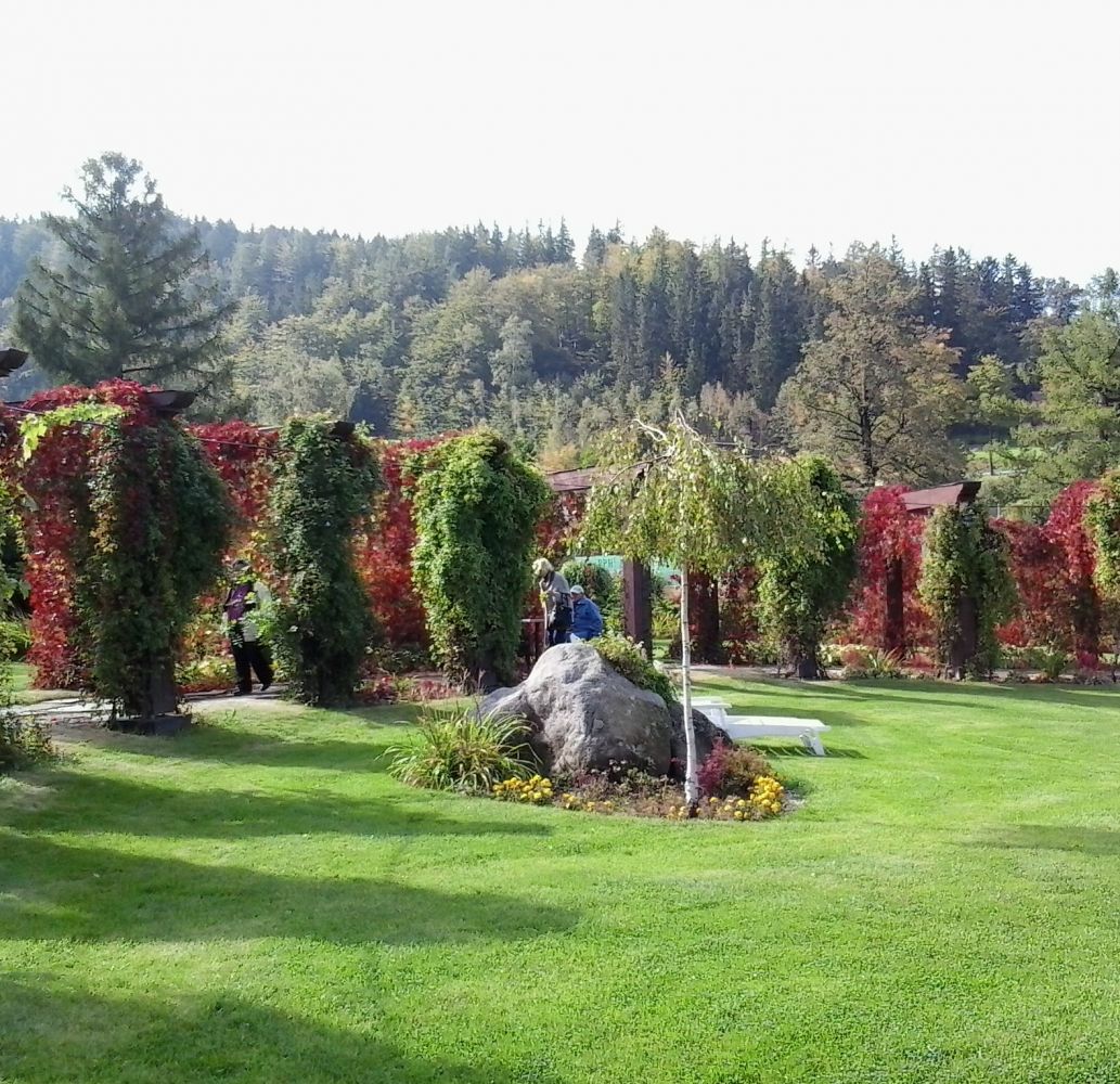 Kolory Jesieni– IV spotkanie z cyklu Przyroda Karkonoska w ogrodach Karpacza
