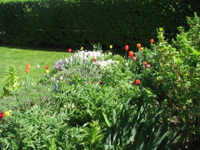 Wiosenne ogrody – cieszą oczy i chronią zdrowie 