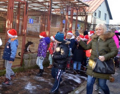 Zbiórka karmy dla zwierząt w Zespole Szkół w Karpaczu