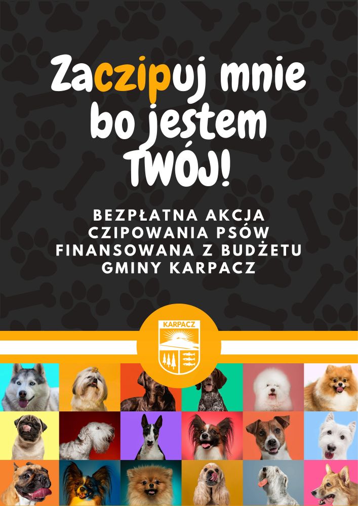 Rusza akcja ZaCZIPuj mnie bo jestem Twój!