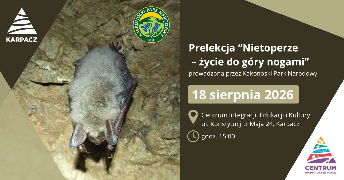 Prelekcja Nietoperze – życie do góry nogami
