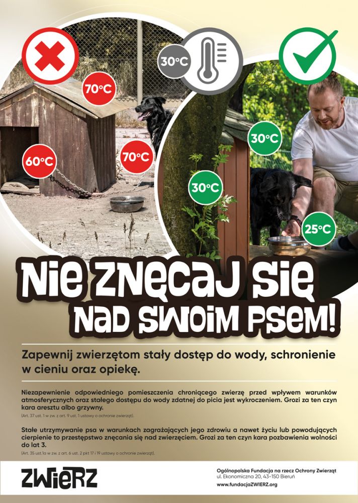 Apel do właścicieli psów