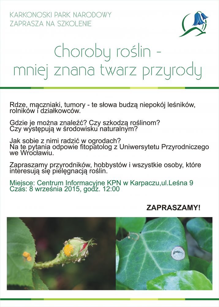 Choroby roślin - mniej znana twarz przyrody 