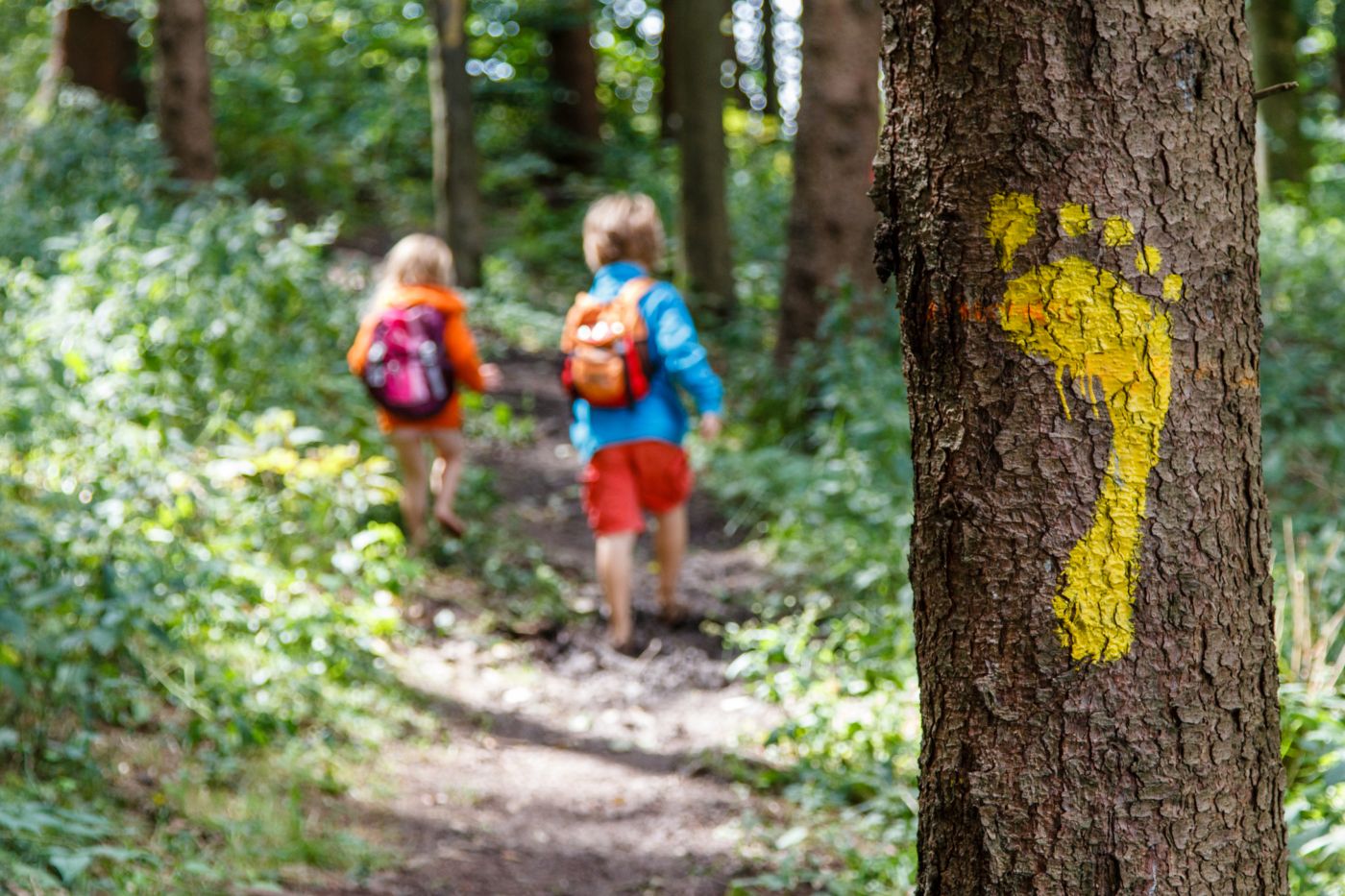 Rodzinne wędrówki Śladami Ducha Gór i Skrzatów Karkonoskich