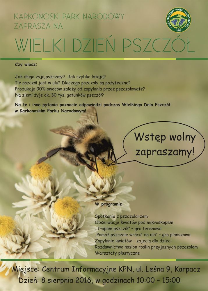 WIELKI DZIEŃ PSZCZÓŁ