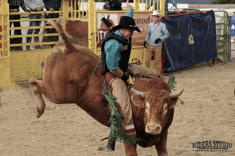 Bull Riding