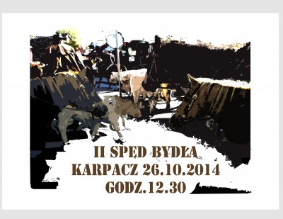Dni Kowbojów - Spęd bydła z Karpacza do Western City 