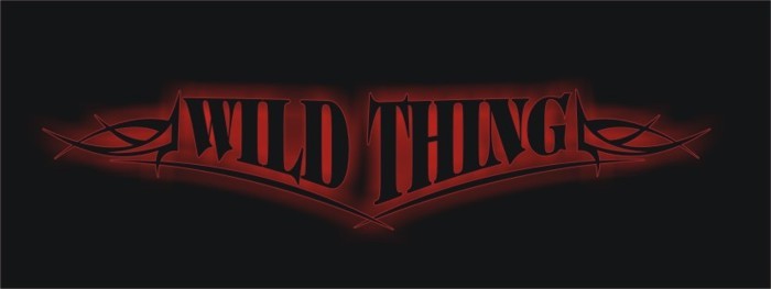 Koncert zespołu WILD THING