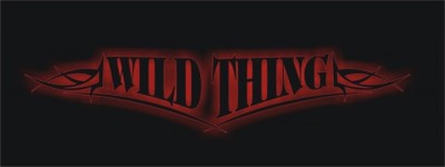 Koncert zespołu WILD THING