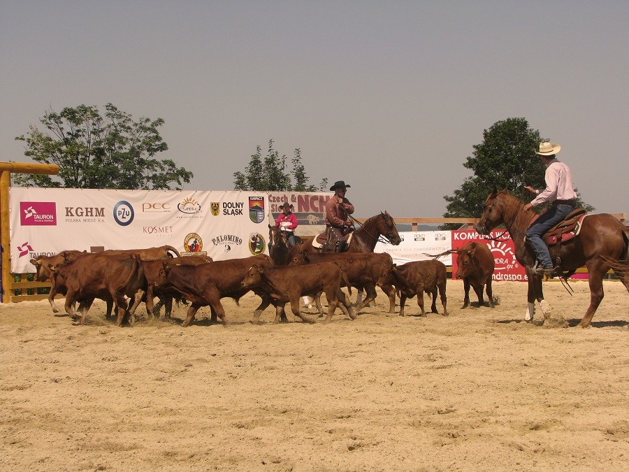 Międzynarodowe zawody Western i Rodeo 