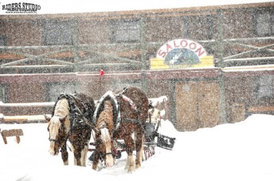Mistrzostwa o Puchar Western City w Skijoering