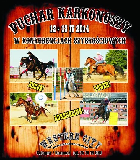 Zawody o Puchar Karkonoszy w konkurencjach szybkościowych
