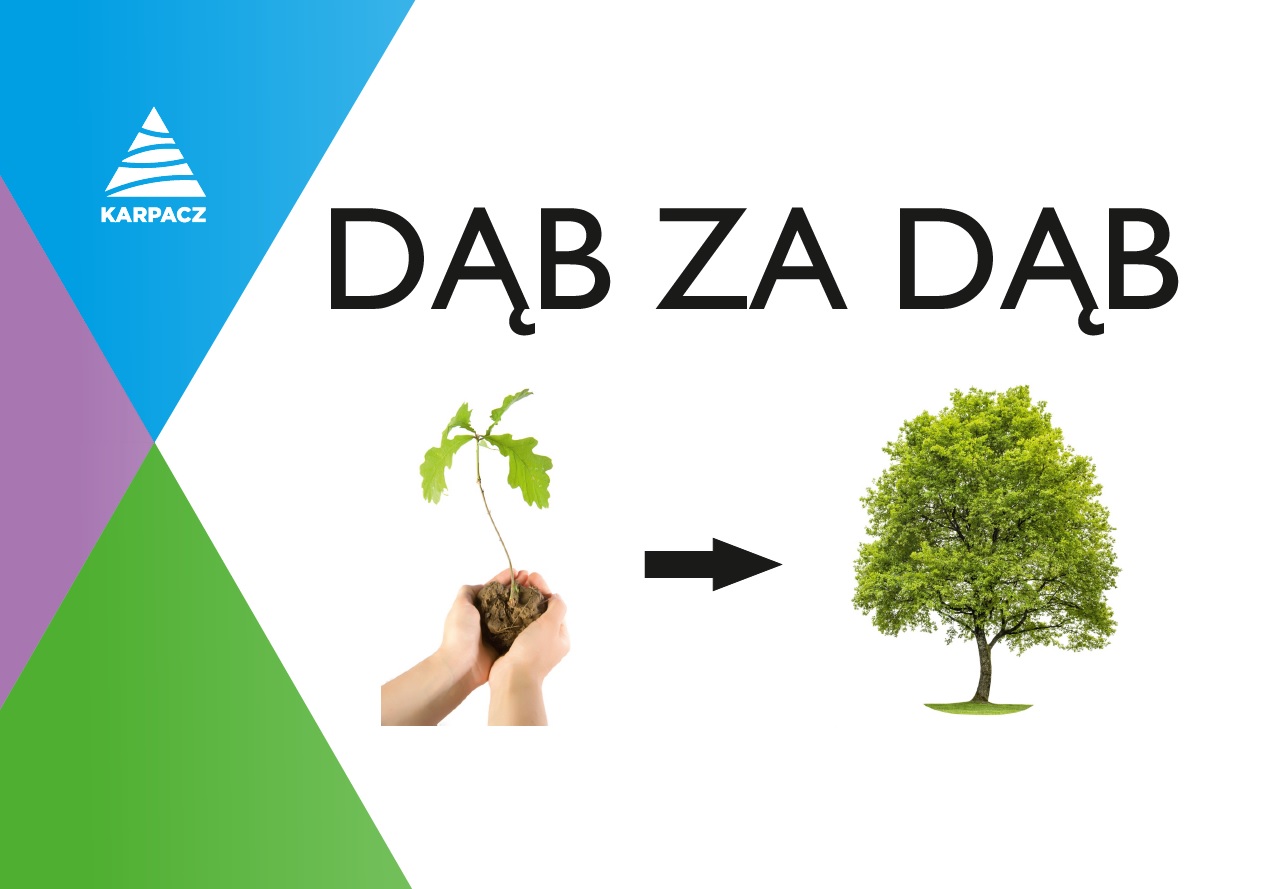 Nasadzenia dębów przy ul.Konstytucji 3 Maja - utrudniena w ruchu