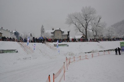 II Międzynarodowe Mistrzostwa w Skijoering