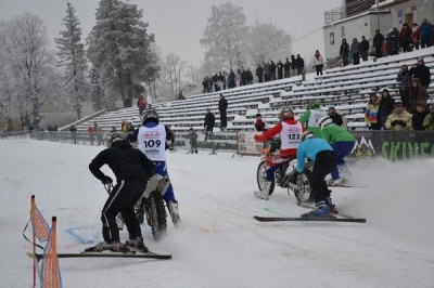 II Międzynarodowe Mistrzostwa w Skijoering