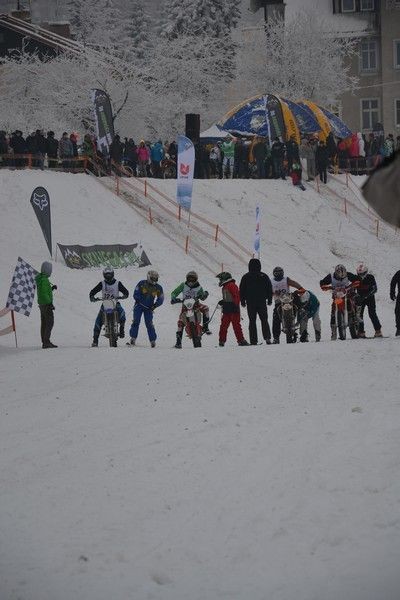 II Międzynarodowe Mistrzostwa w Skijoering