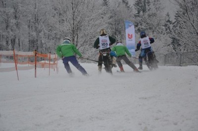 II Międzynarodowe Mistrzostwa w Skijoering