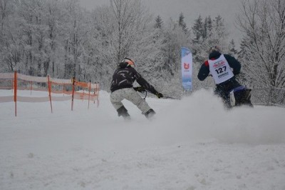 II Międzynarodowe Mistrzostwa w Skijoering