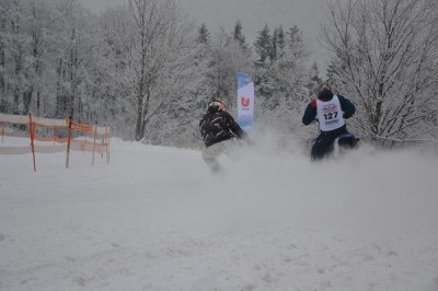 II Międzynarodowe Mistrzostwa w Skijoering