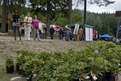 Jany 2010 - Noc Świętojańska Nad Wodospadem