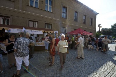 Karkonoskie Letnie Wieczory - Jilemnice 2009