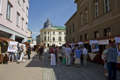 Karkonoskie Letnie Wieczory - Jilemnice 2009