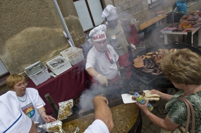 Karkonoskie Letnie Wieczory - Jilemnice 2009