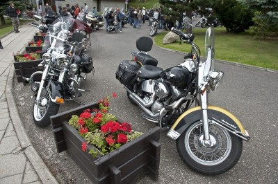 Piknik Entuzjastów Harley Davidson