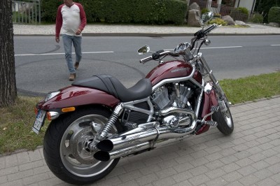 Piknik Entuzjastów Harley Davidson
