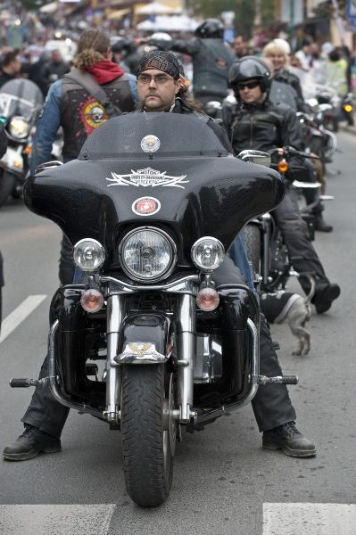 Piknik Entuzjastów Harley Davidson