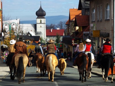 Spęd bydła 2014