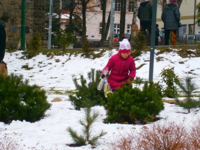 Szukanie Wielkanocnego Zajączka 2015