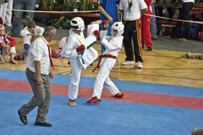 XII Mistrzostwa Świata Karate Shotokan-Karpacz 2010