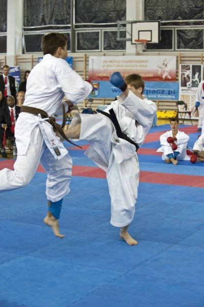 XII Mistrzostwa Świata Karate Shotokan-Karpacz 2010