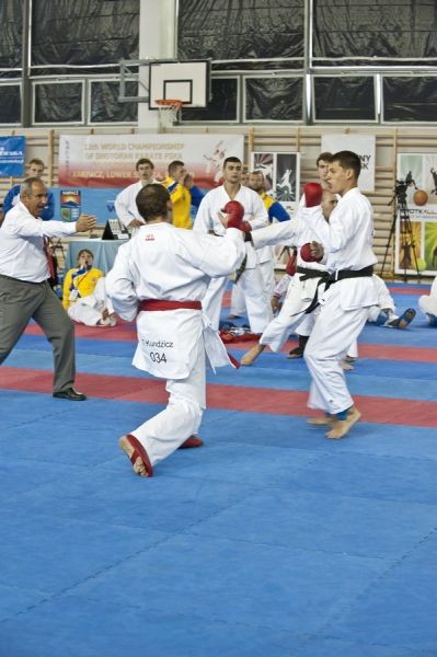 XII Mistrzostwa Świata Karate Shotokan-Karpacz 2010