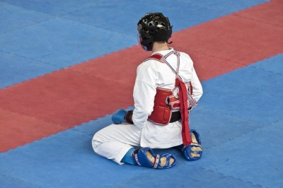 XII Mistrzostwa Świata Karate Shotokan-Karpacz 2010