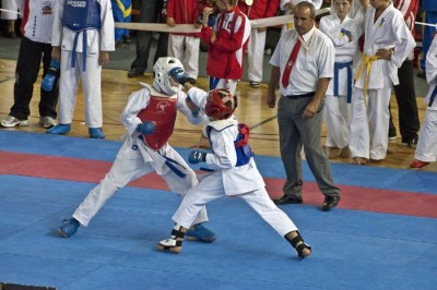 XII Mistrzostwa Świata Karate Shotokan-Karpacz 2010