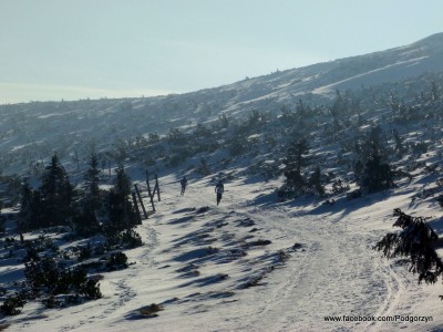 Zimowy Ultramaraton Karkonoski