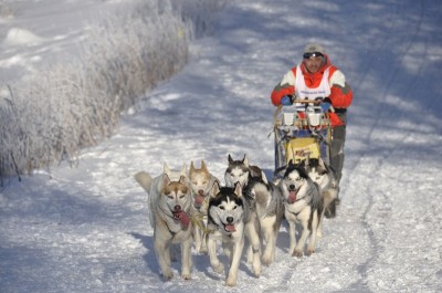 Husqvarna Tour 2009 - wyniki