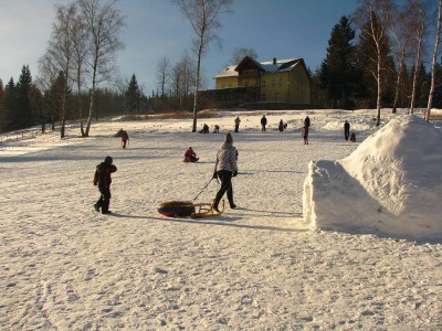 Komunikat narciarski