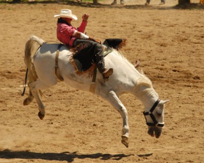 Międzynarodowe Mistrzostwa Polski Western i Rodeo