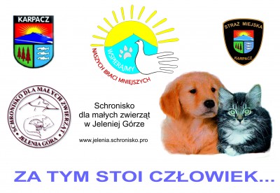 Pomocna Dłoń
