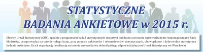 Statystyczne badania ankietowe w 2015 roku