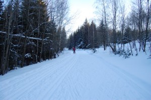  Trasa biegowa w Karpaczu Górnym 