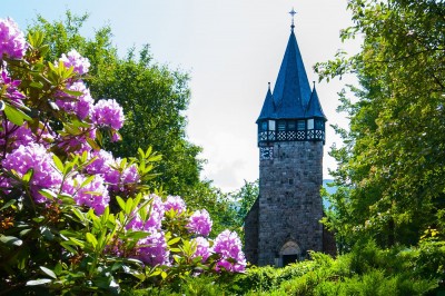 CHURCH OF THE SACRED HEART OF JESUS