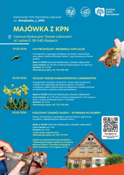 FIOLETOWY ZAWRÓT GŁOWY – WYPRAWA PO SKARBY!