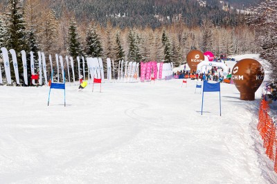 Mistrovství Polska členů parlamentu a pracovníků samosprávy v alpském lyžování v Karpaczi