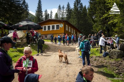 Bieg do Kotła Łomniczki 2025 Wiosna