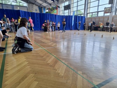 Dzień Dziecka 2.06.2025