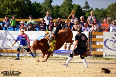 Rodeo na bykach